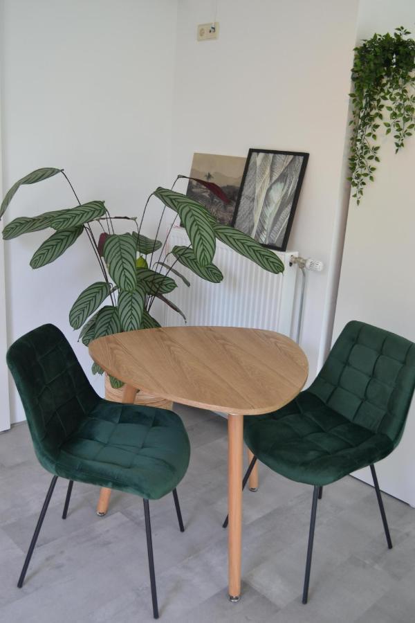 Studio 38 Zandvoort Zewnętrze zdjęcie
